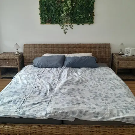 Alte Mit Terrasse Apartment Bad Schonborn