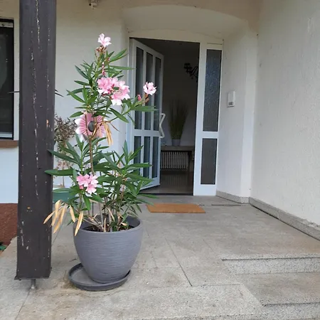 شقة Alte Mit Terrasse باد شونبورن